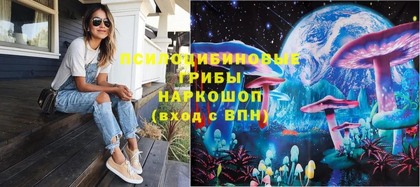 дмт Алексин
