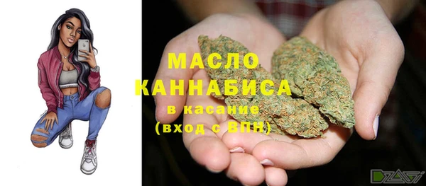 дмт Алексин