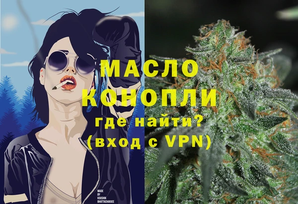 дмт Алексин
