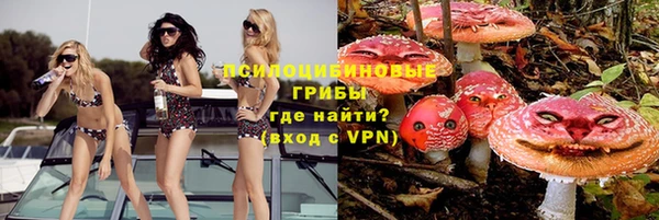 ПСИЛОЦИБИНОВЫЕ ГРИБЫ Алзамай