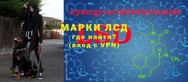 твердый Новодвинск
