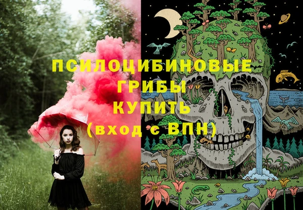 экстази Алексеевка