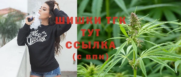 дмт Алексин