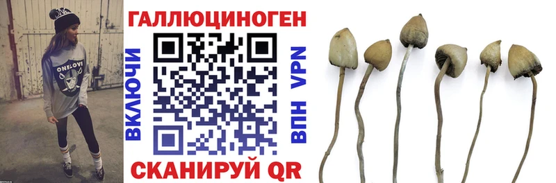 omg как зайти Краснокамск Галлюциногенные грибы Magic Shrooms